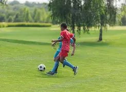 金年会,资讯,金年会官网,金年会,金年会官网,中国金年会,金年会入口