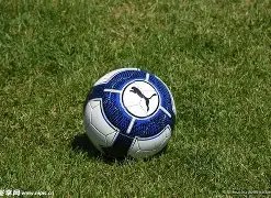 湖人计划用,文森特和未,来次轮选秀,金年会,金年会官网,中国金年会,金年会入口