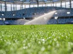 乌尔比希在,挫折中成长,吸取教训应,金年会,金年会官网,中国金年会,金年会入口