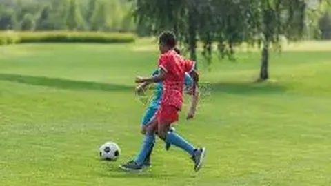 金年会 资讯 094451 9r7