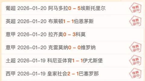 大乐透期号专家推荐：黄蜂状态分析及前区十码预测