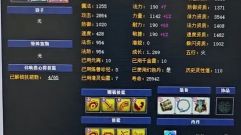 2026年现场活动金年会活动：完整日程攻略